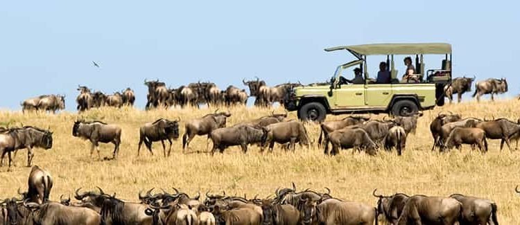 SerengetiNationalParkSafarix